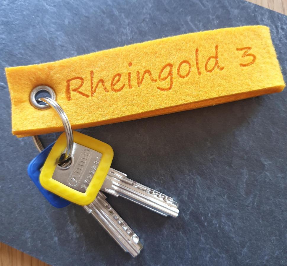 Apartment Rheingold Hirzenach